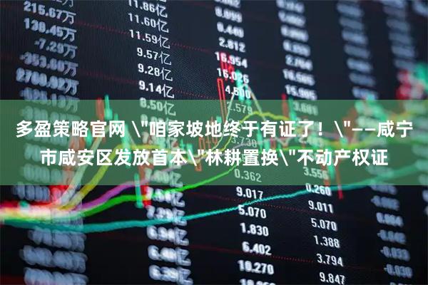 多盈策略官网 ＂咱家坡地终于有证了！＂——咸宁市咸安区发放首本＂林耕置换＂不动产权证