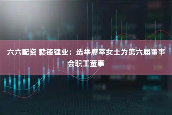 六六配资 赣锋锂业：选举廖萃女士为第六届董事会职工董事