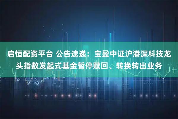 启恒配资平台 公告速递：宝盈中证沪港深科技龙头指数发起式基金暂停赎回、转换转出业务