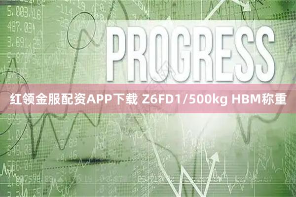 红领金服配资APP下载 Z6FD1/500kg HBM称重